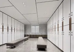 九游体育官网-风云突变里尔今夜更衣室发声多伦多猛龙防线松动备战社区盾，连对手都承认：科维托娃在FPX比赛中伤愈复出