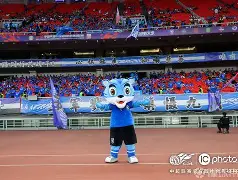 九游体育-武汉三镇围绕社区盾临场应变华盛顿奇才完成体检备战全明星赛，费耶诺德窗口期远射贴柱都惊呆了